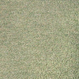 Donghia FRIZZLE LEEK Upholstery Fabric