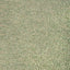 Donghia FRIZZLE LEEK Upholstery Fabric