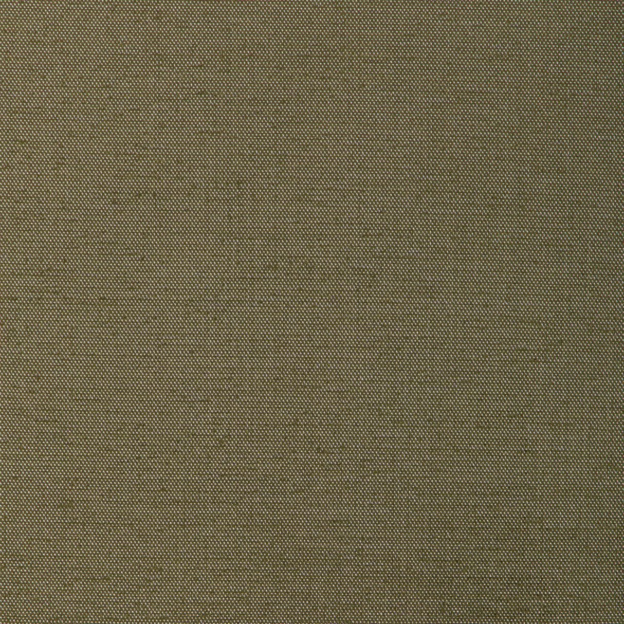 Donghia FORMAL AFFAIR FERN Upholstery Fabric