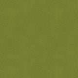 Brunschwig & Fils ZINA MOIRE OLIVE Upholstery Fabric