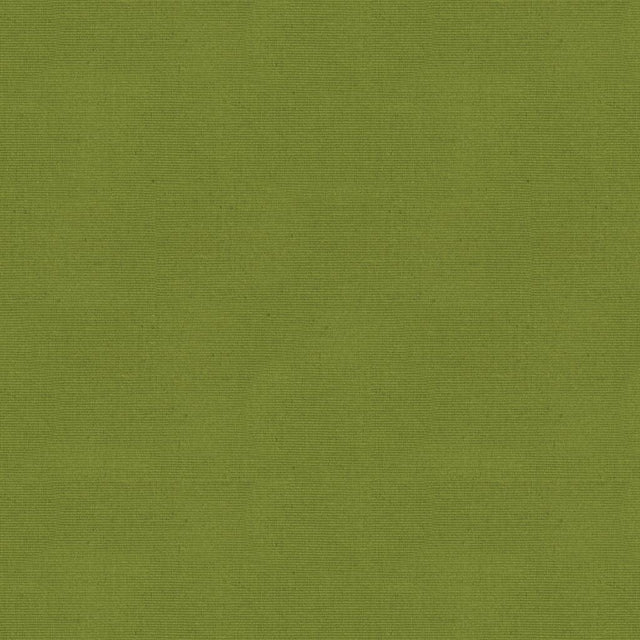 Brunschwig & Fils ZINA MOIRE OLIVE Upholstery Fabric