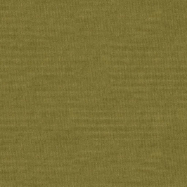Brunschwig & Fils CHARMANT VELVET OLIVE Upholstery Fabric