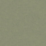 Brunschwig & Fils CHARMANT VELVET STONE Upholstery Fabric