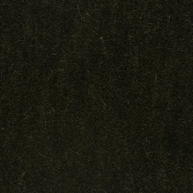 Brunschwig & Fils BACHELOR MOHAIR THYME Upholstery Fabric