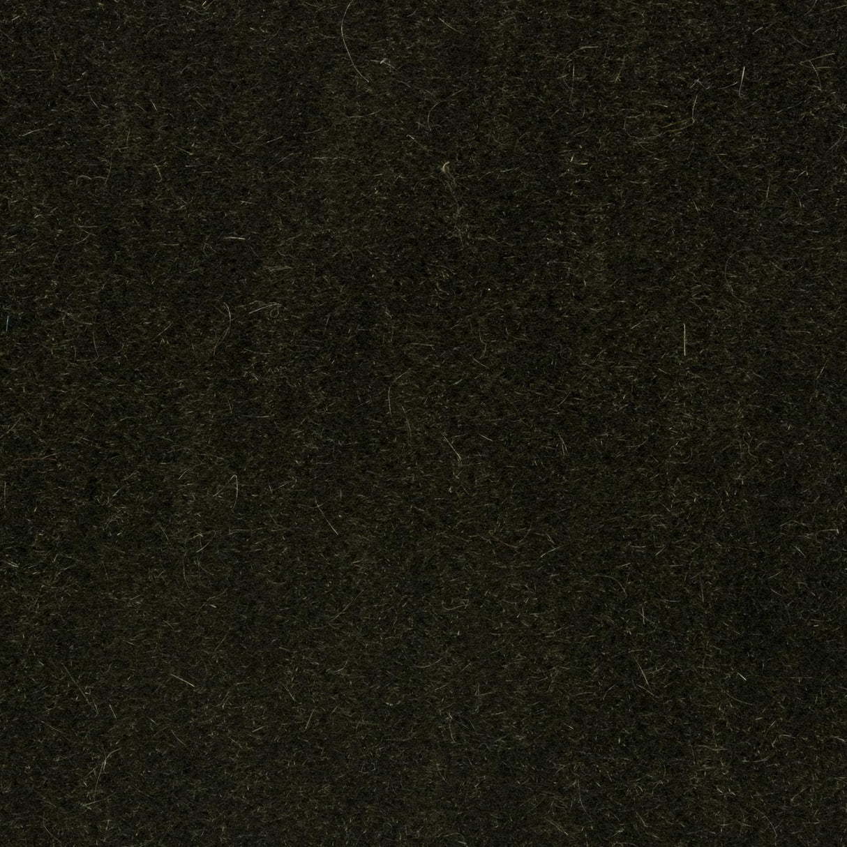 Brunschwig & Fils BACHELOR MOHAIR THYME Upholstery Fabric