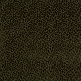 Brunschwig & Fils LA PANTHERE VELVET GREEN Upholstery Fabric