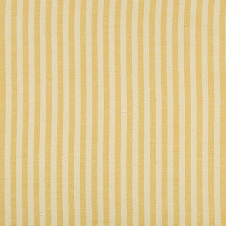 Brunschwig & Fils ROLLO STRIPE YELLOW Upholstery Fabric