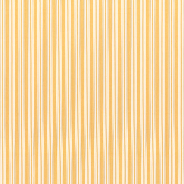 Brunschwig & Fils SELUNE STRIPE YELLOW Upholstery Fabric