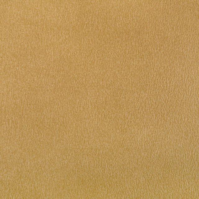 Kravet AGATHA GILT Upholstery Fabric