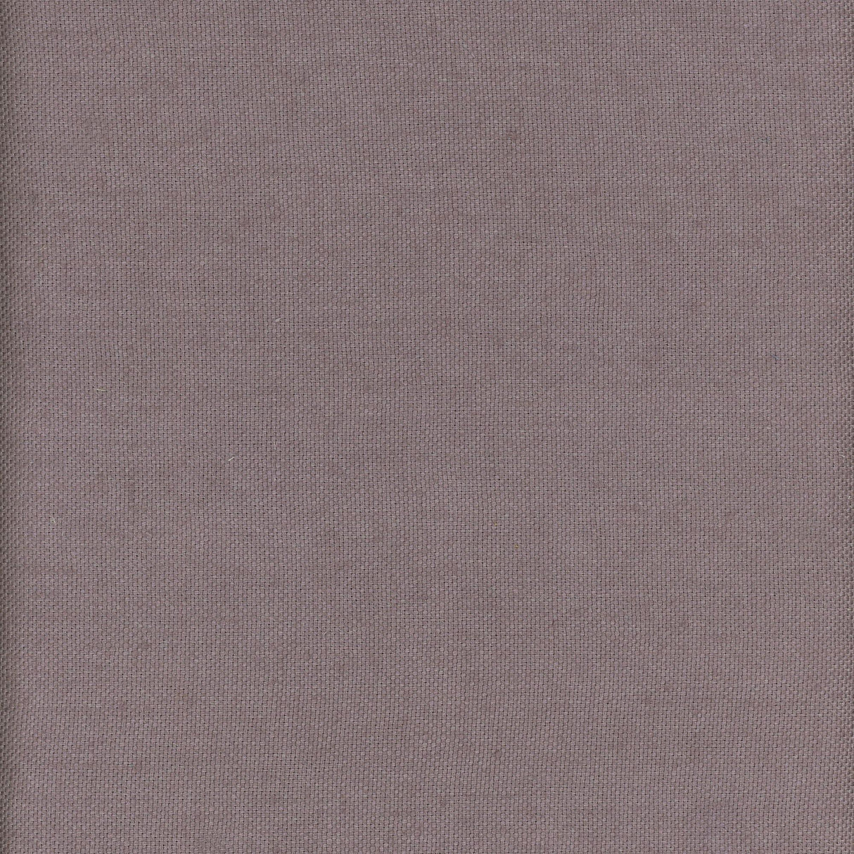 Andrew Martin BEAGLE BERRY Fabric