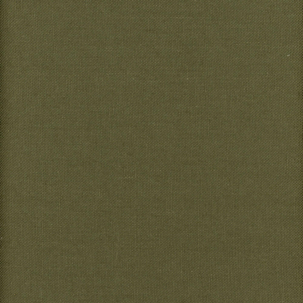 Andrew Martin BEAGLE ARCHIPELAGO Fabric