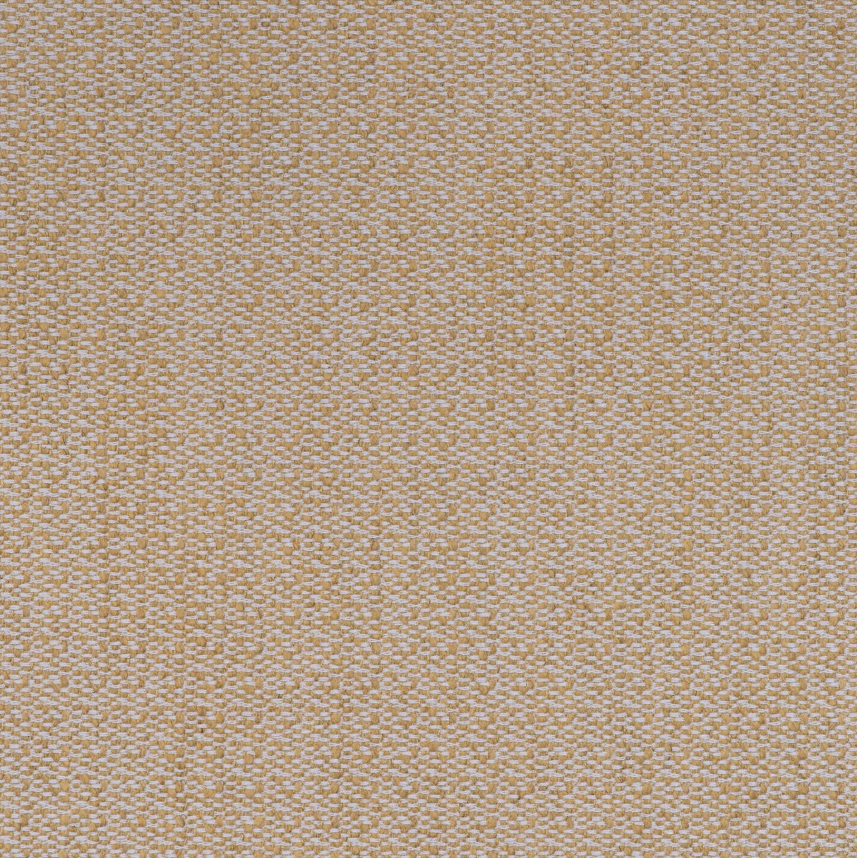 Andrew Martin RAVELLO LEMON Upholstery Fabric