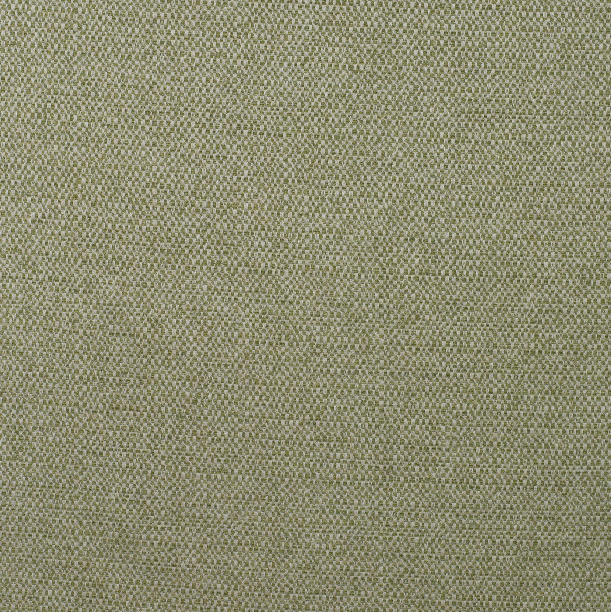 Andrew Martin JETTY REED Upholstery Fabric