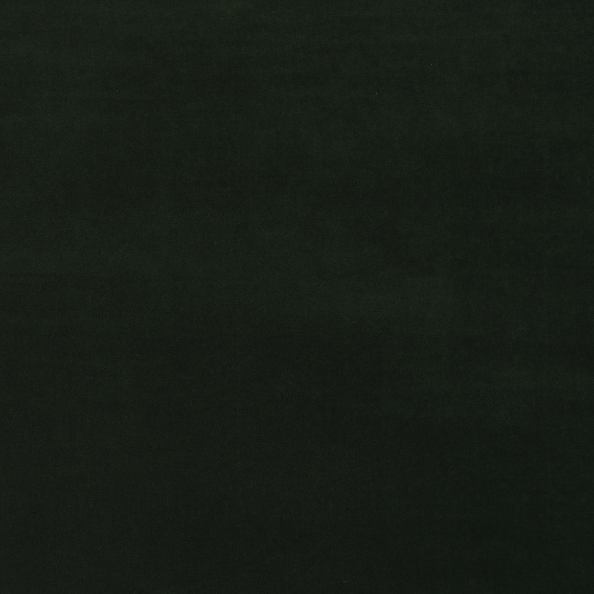 Andrew Martin MEDICI FOREST Upholstery Fabric