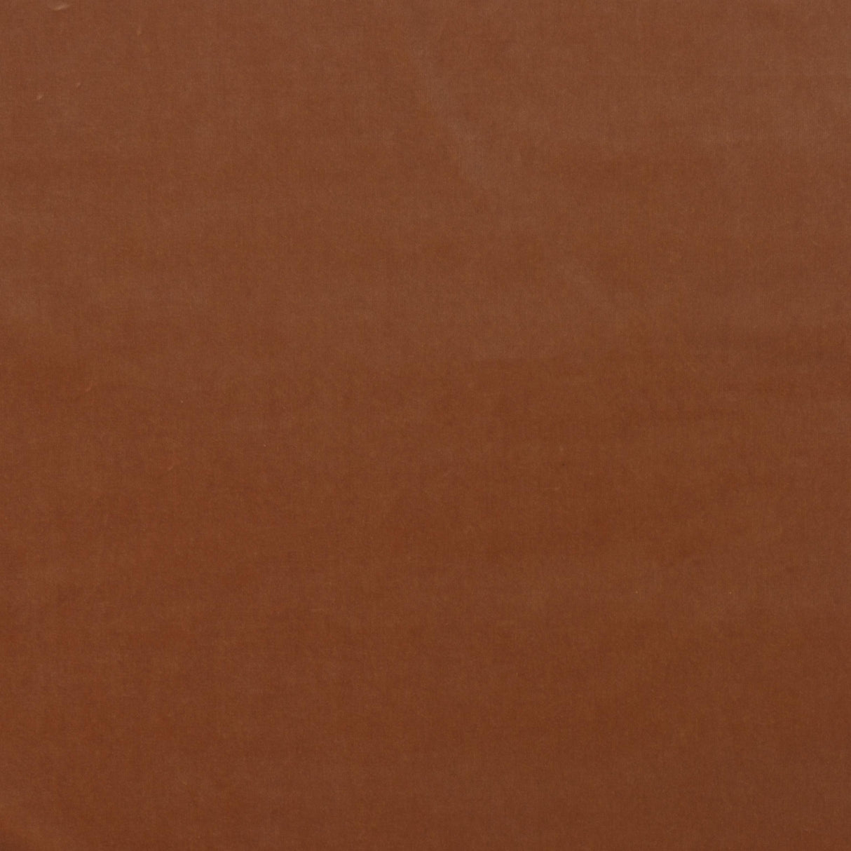 Andrew Martin MEDICI PIGMENT Upholstery Fabric