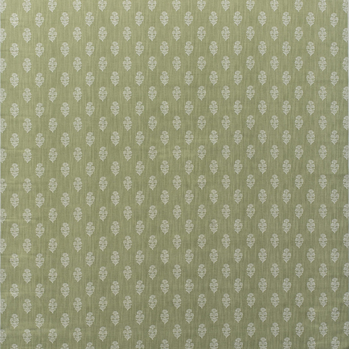 Andrew Martin BUTTERCUP FENNEL Fabric