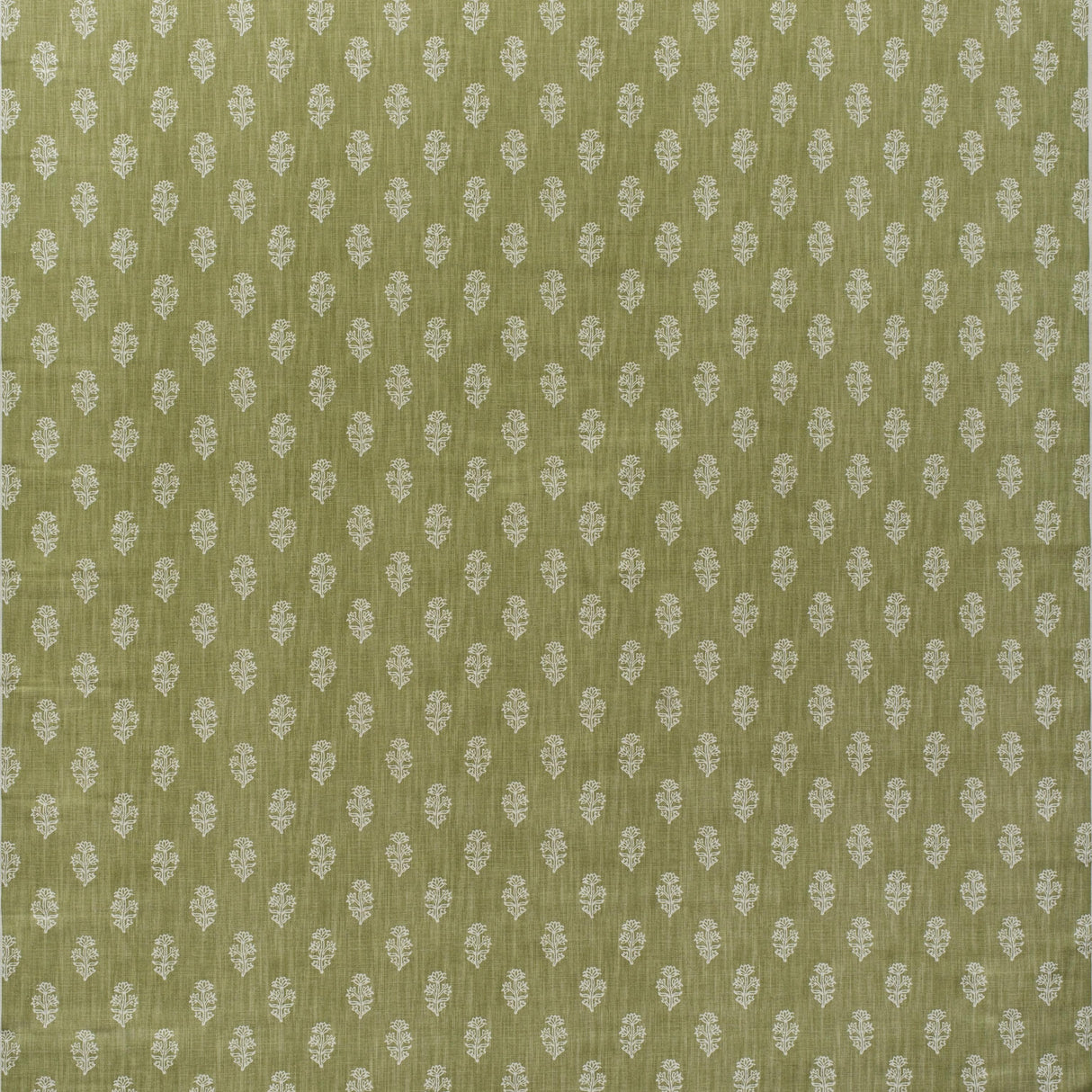Andrew Martin BUTTERCUP LEAF Fabric