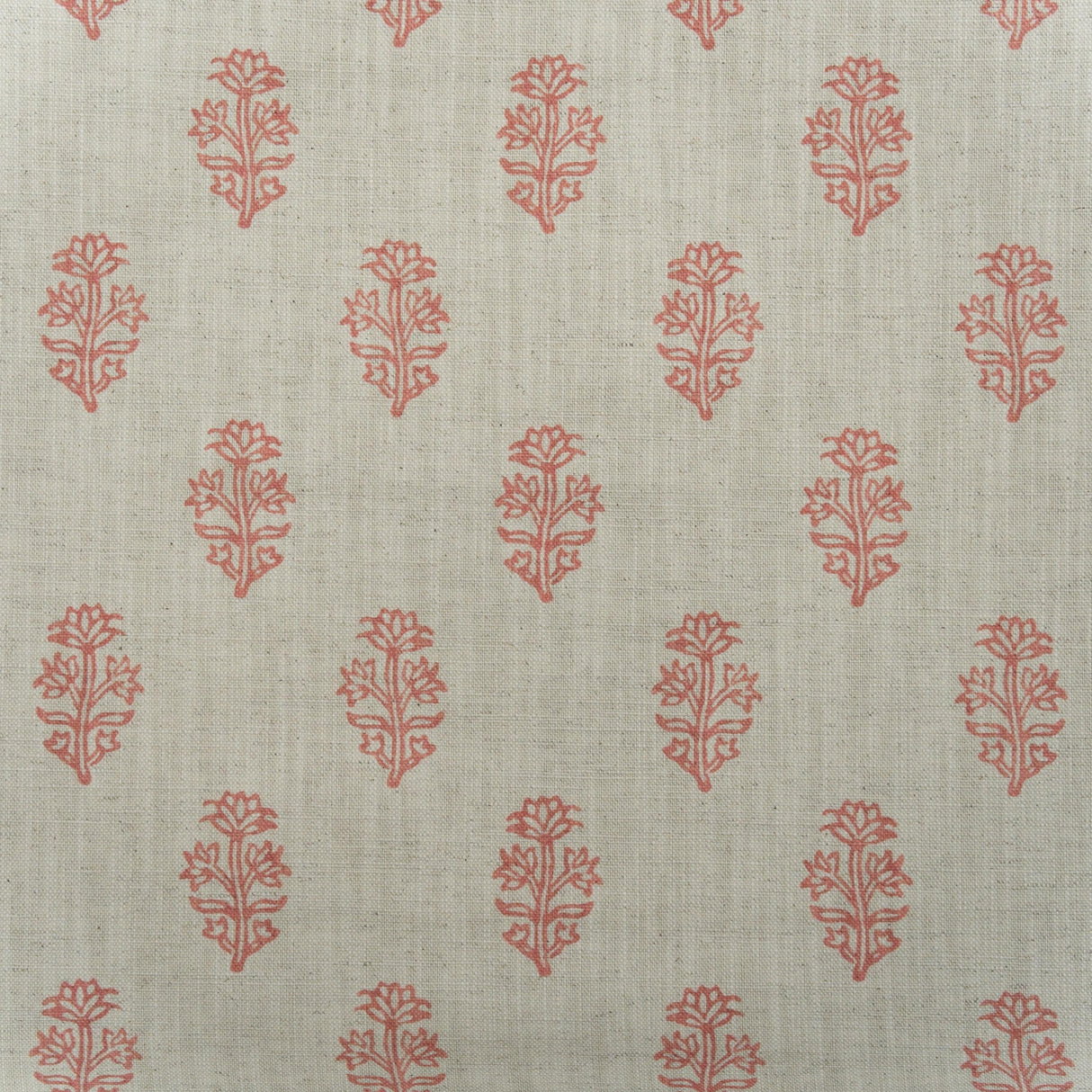 Andrew Martin BUTTERCUP CORAL Fabric