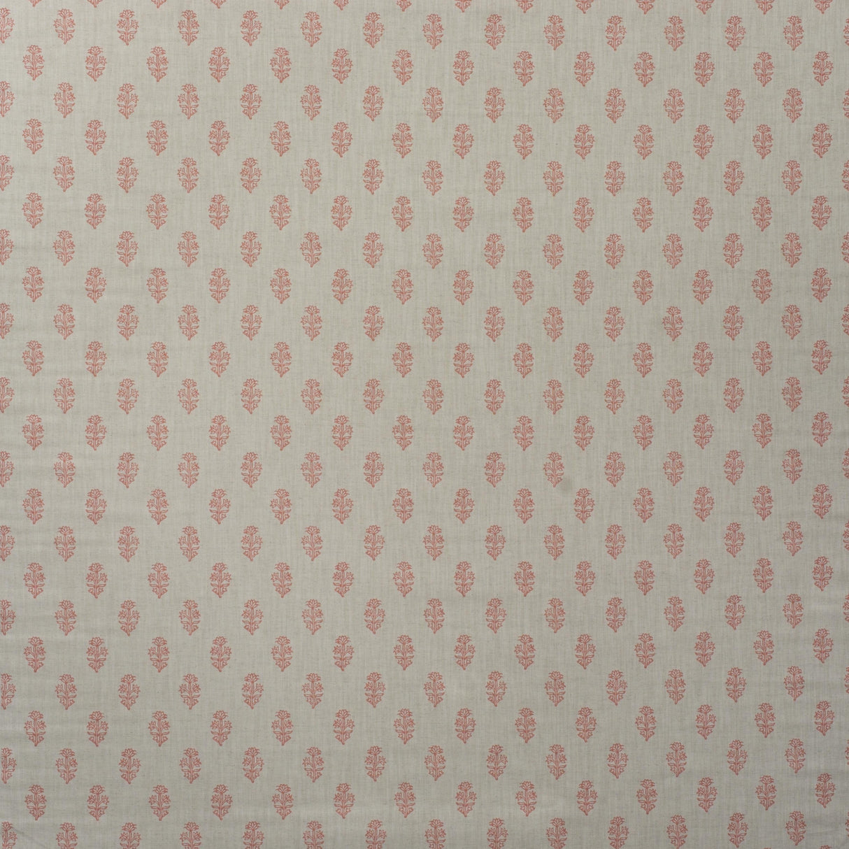 Andrew Martin BUTTERCUP CORAL Fabric