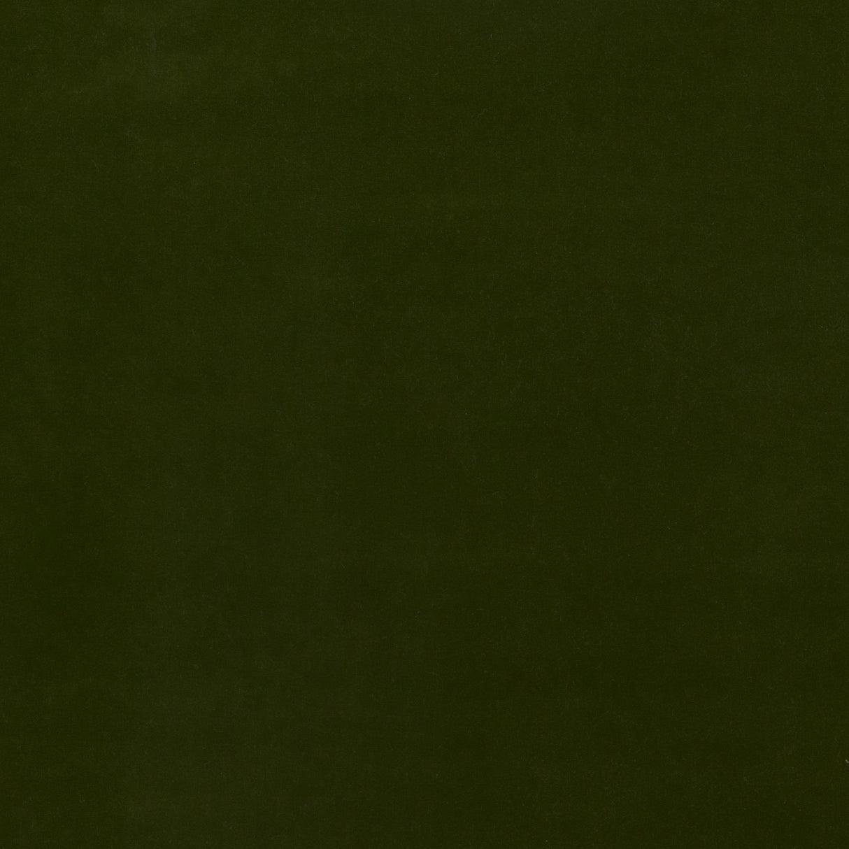 G P & J Baker BAKER HOUSE VELVET OLIVE Fabric