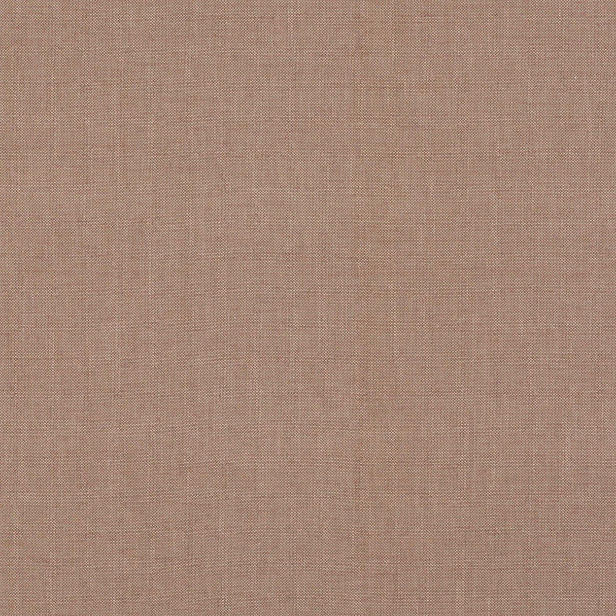 G P & J Baker DARWEN BLUSH Fabric