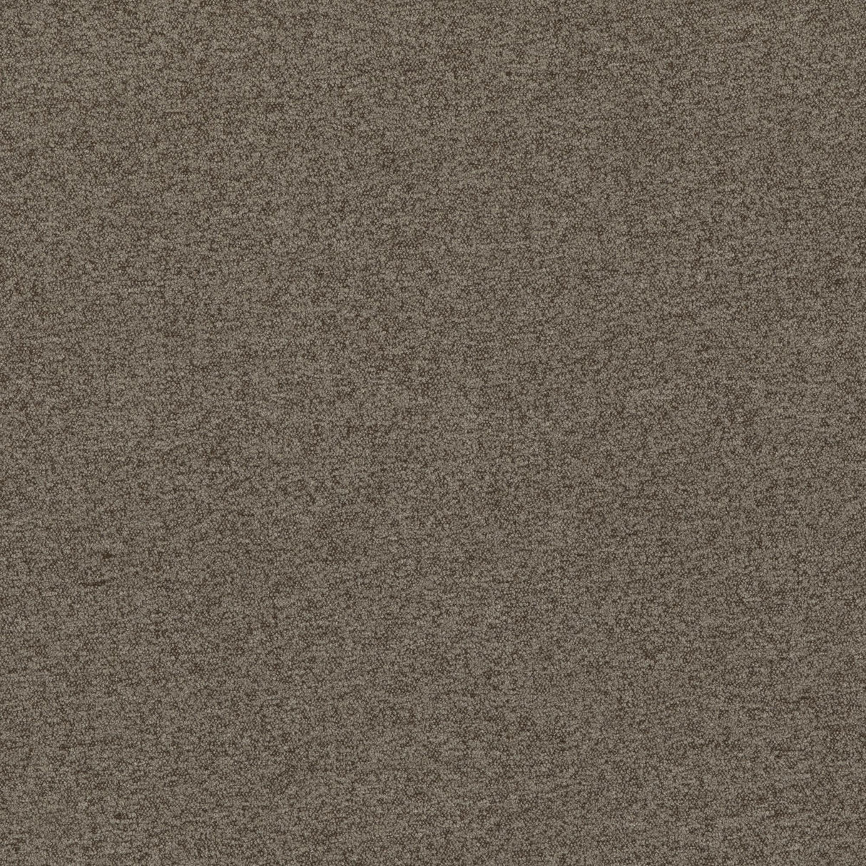 G P & J Baker BAKER HOUSE BOUCLE TAUPE Fabric