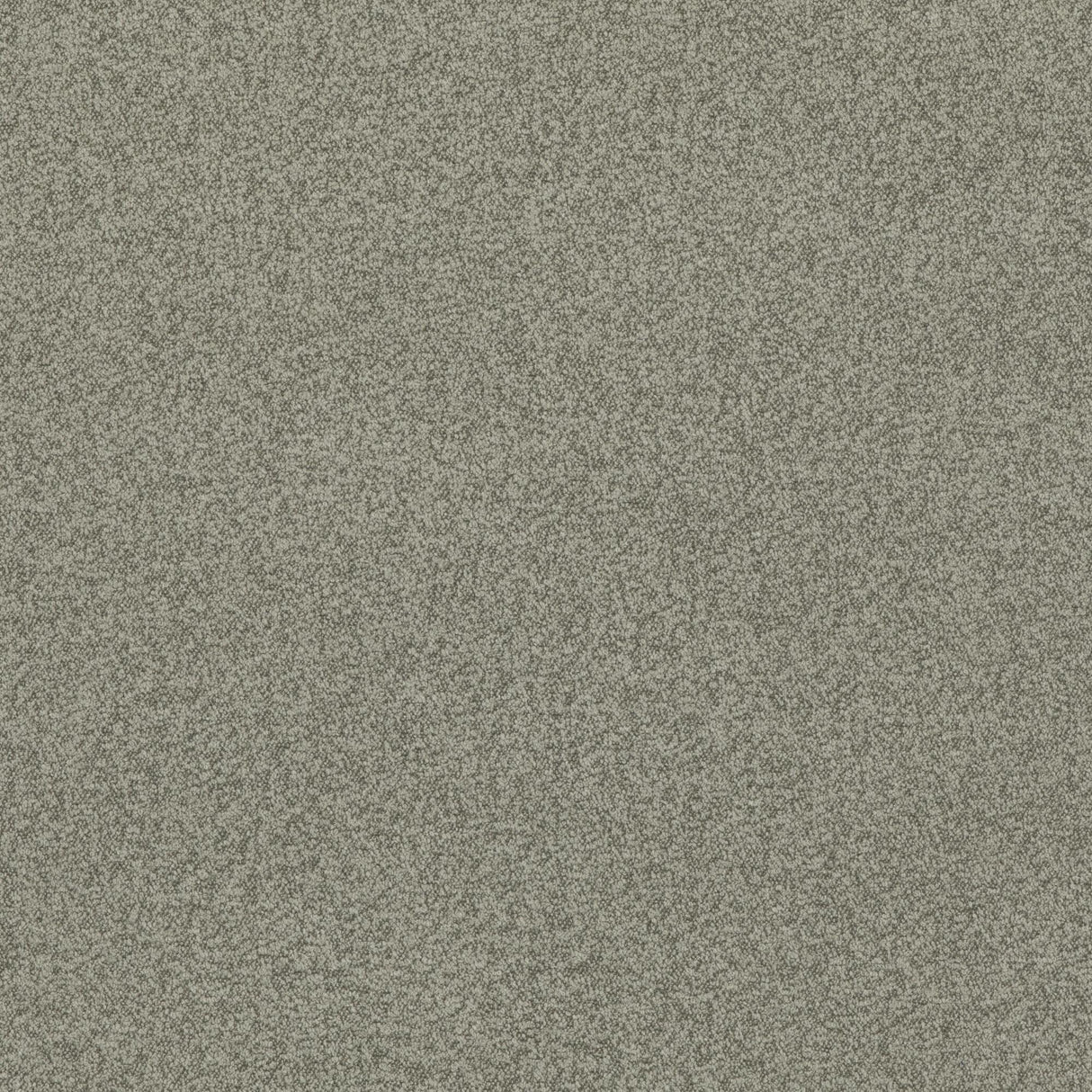 G P & J Baker BAKER HOUSE BOUCLE DOVE Fabric