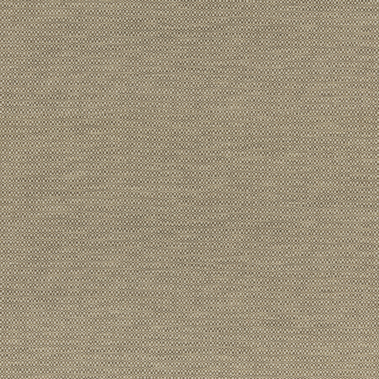 G P & J Baker HOPTON NUTMEG Upholstery Fabric