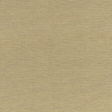 G P & J Baker HOPTON OCHRE Upholstery Fabric