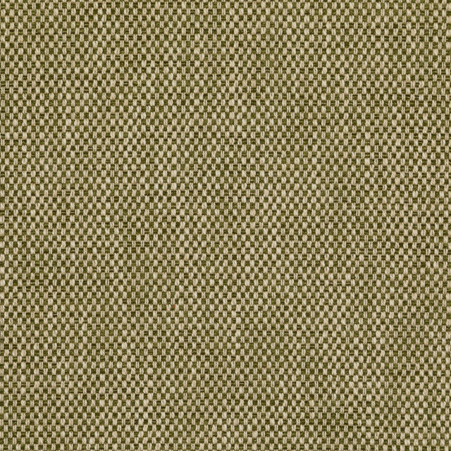 Lee Jofa CARLTON MOSS Upholstery Fabric