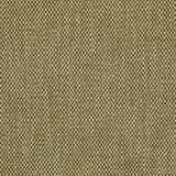 Lee Jofa CARLTON MOSS Upholstery Fabric