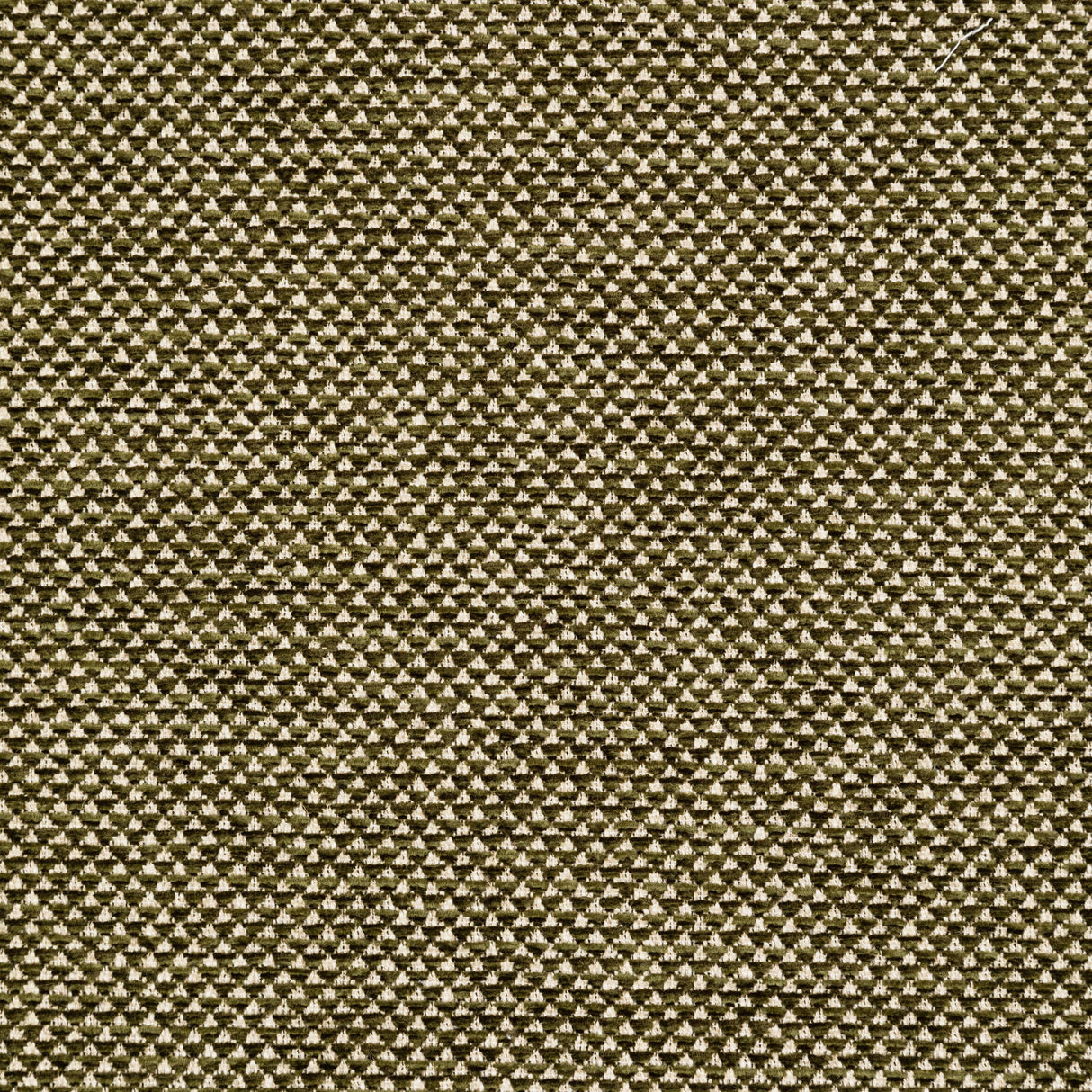 Lee Jofa WEBSTER MOSS Upholstery Fabric