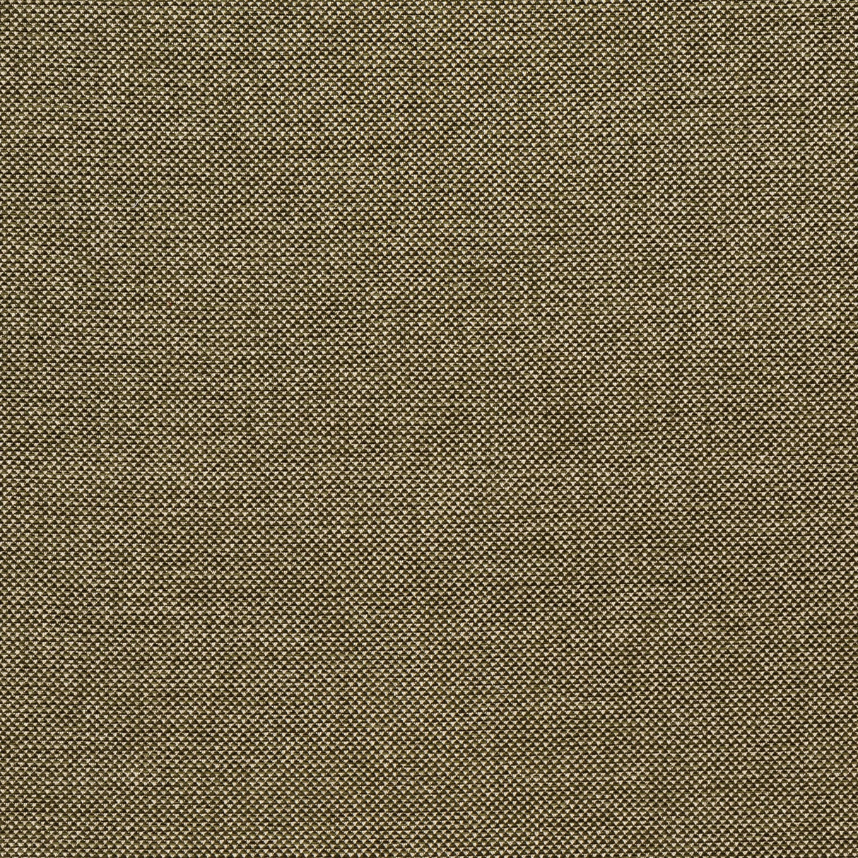 Lee Jofa WEBSTER MOSS Upholstery Fabric