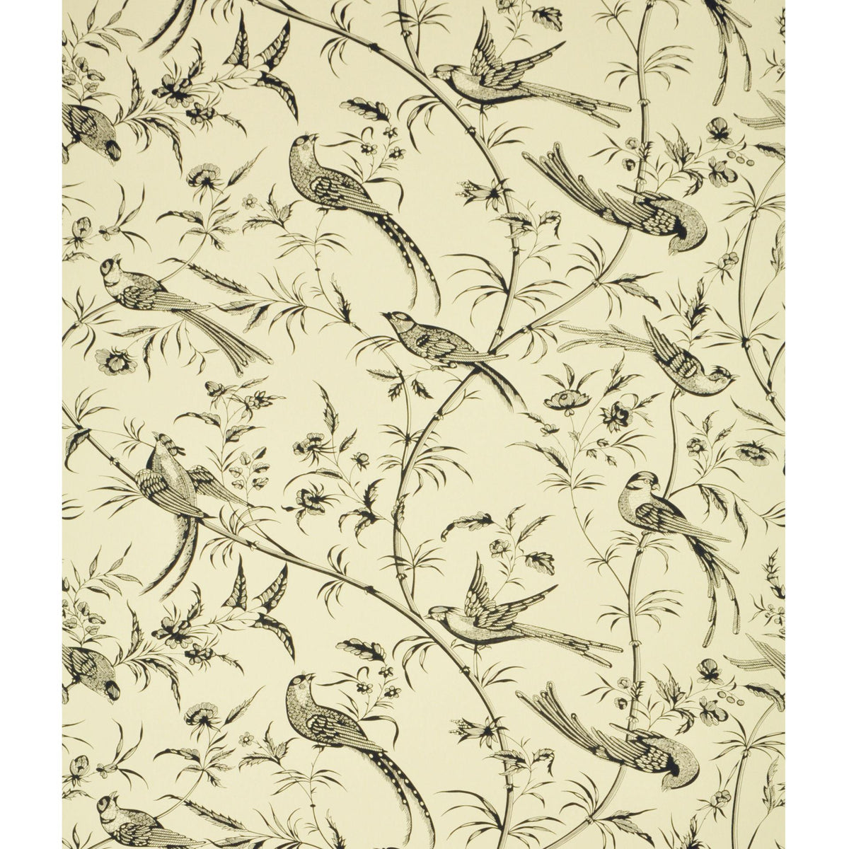 Brunschwig & Fils BENGALI BLACK Wallpaper