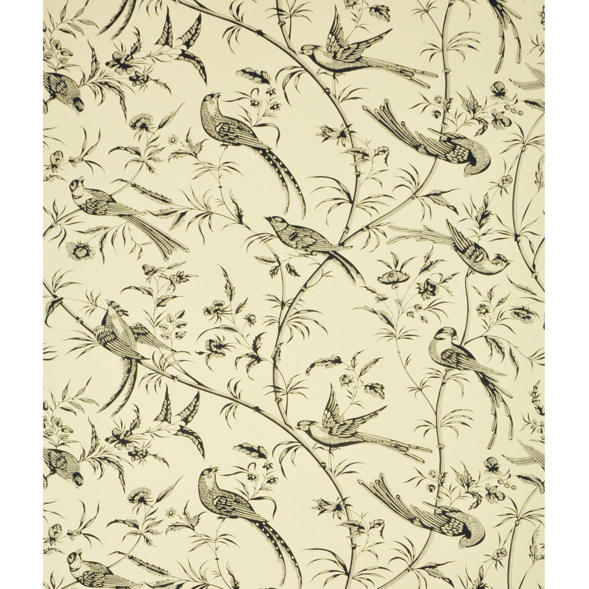 Brunschwig & Fils BENGALI BLACK Wallpaper