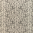 Brunschwig & Fils LES TOUCHES COTTON PRINT BLACK Fabric