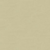 Brunschwig & Fils FYVIE WOOL SATIN MIST Upholstery Fabric