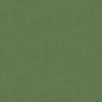 Brunschwig & Fils LUBECK COTTON VELVET MINT Upholstery Fabric