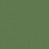 Brunschwig & Fils LUBECK COTTON VELVET MINT Upholstery Fabric