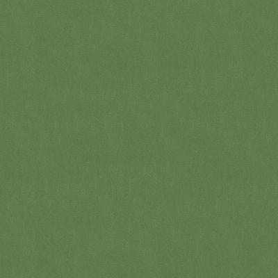 Brunschwig & Fils LUBECK COTTON VELVET MINT Upholstery Fabric