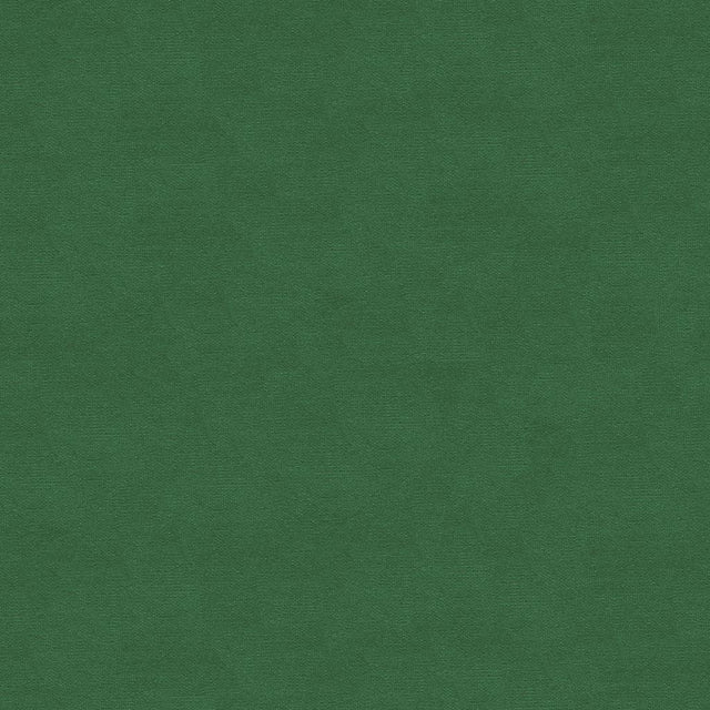 Brunschwig & Fils LUBECK COTTON VELVET IVY Upholstery Fabric