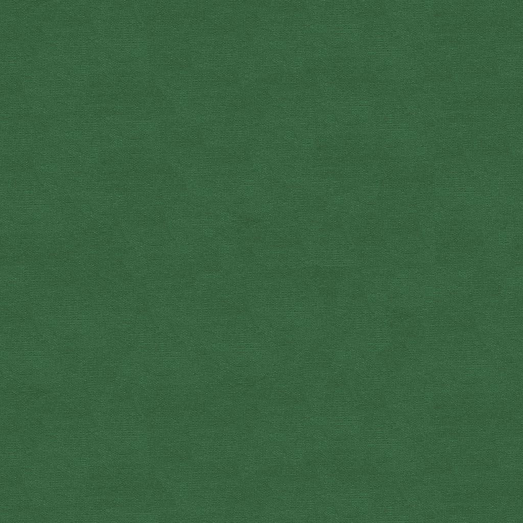 Brunschwig & Fils LUBECK COTTON VELVET IVY Upholstery Fabric