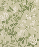 G P & J Baker EMPEROR'S GARDEN SOFT GREEN Wallpaper