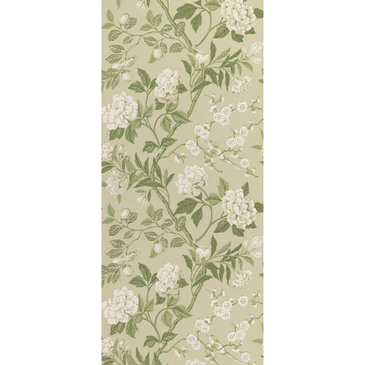 G P & J Baker EMPEROR'S GARDEN SOFT GREEN Wallpaper