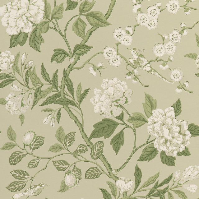 G P & J Baker EMPEROR'S GARDEN SOFT GREEN Wallpaper