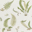 G P & J Baker FERNS LEAF Wallpaper