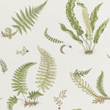 G P & J Baker FERNS LEAF Wallpaper