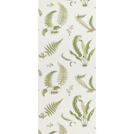 G P & J Baker FERNS LEAF Wallpaper