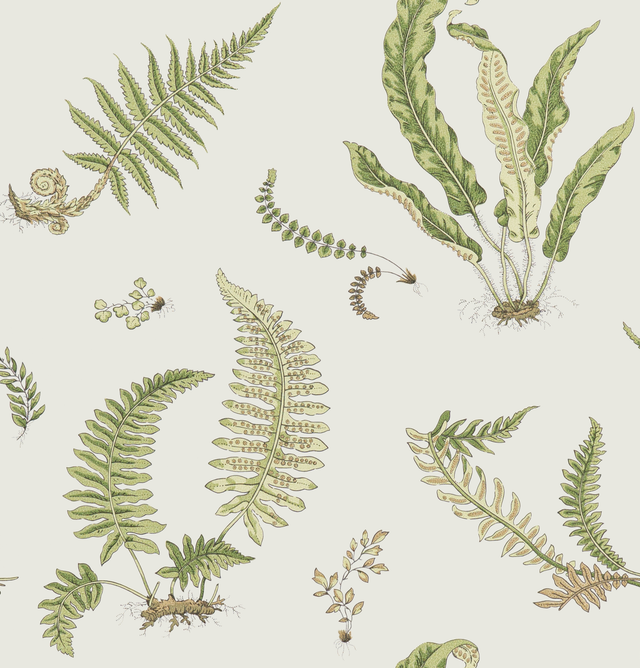 G P & J Baker FERNS LEAF Wallpaper