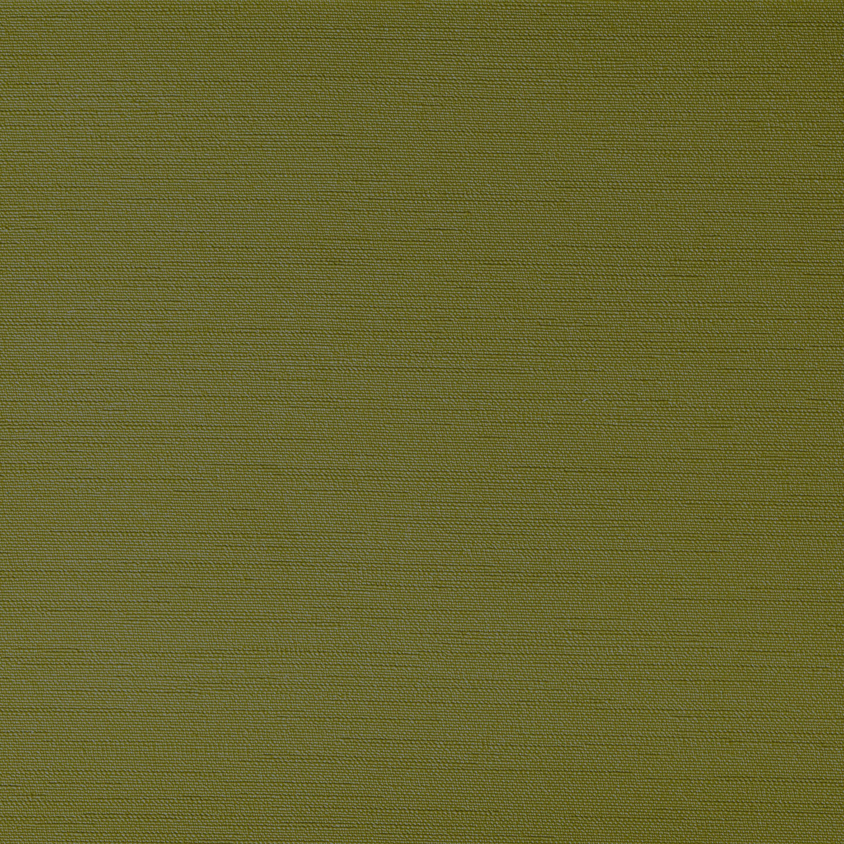 Kravet CLUTCH GRASSHOPER Upholstery Fabric